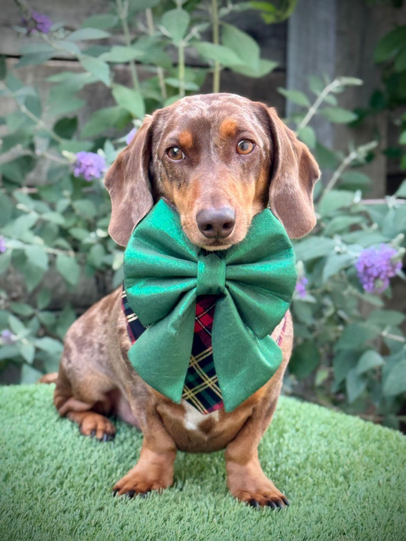 Christmas Green Sparkle bows