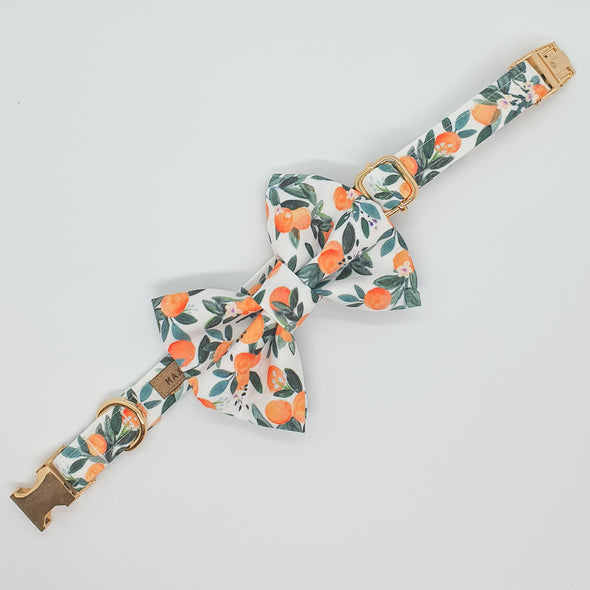 Clementine bows