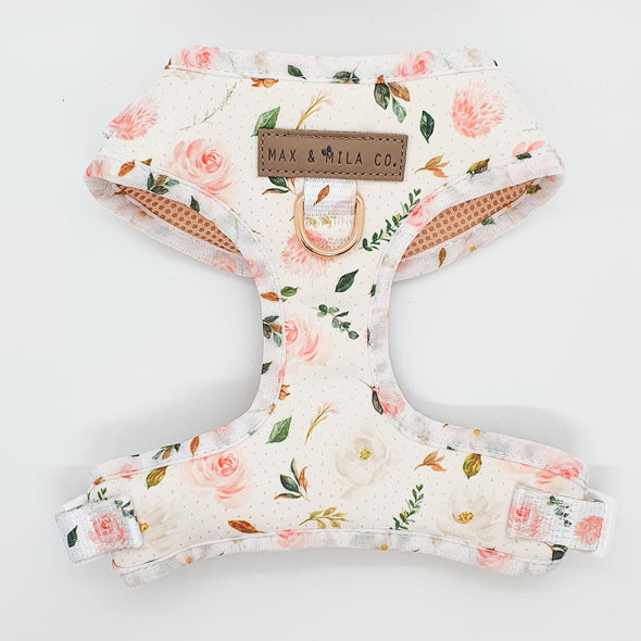 White adjustable dog harness with pink roses and white magnolias.