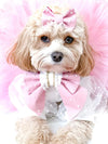 Cavoodle dog wears pink sailor bow and mini hair bow