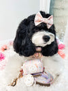 black and white cavoodle wears pink dog accessories