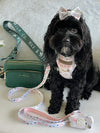 Black oodle wears cute bow and harness in pink and white